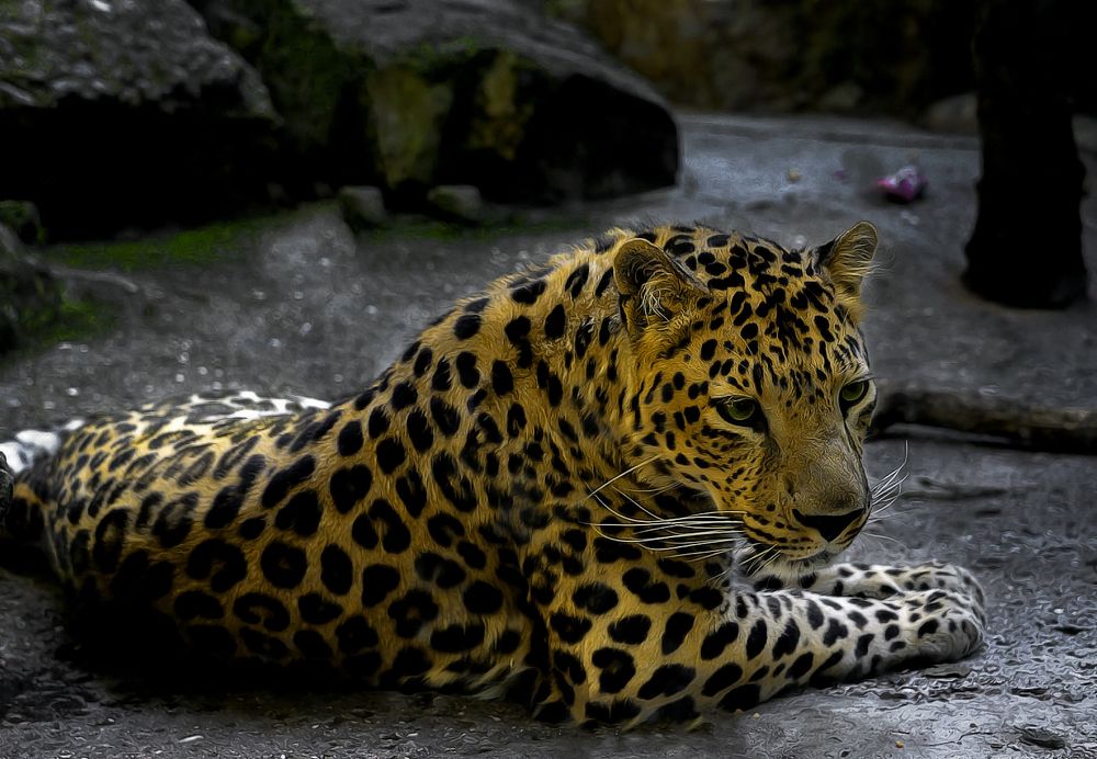 Photograph by Александр Шипиленко