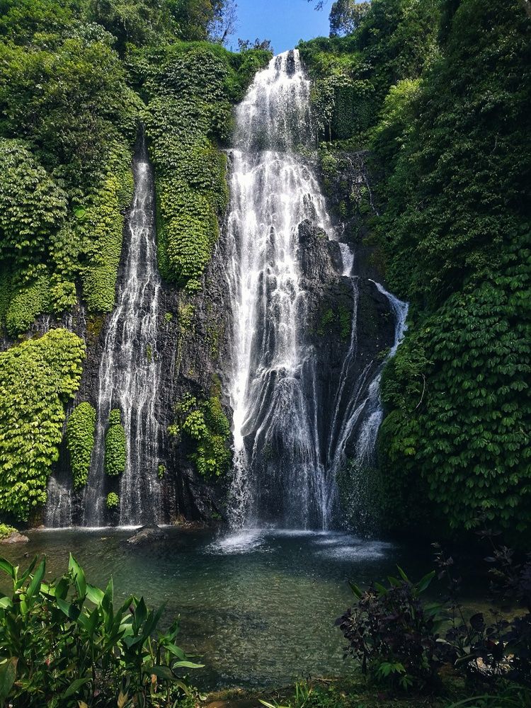 Photograph by Victoriia