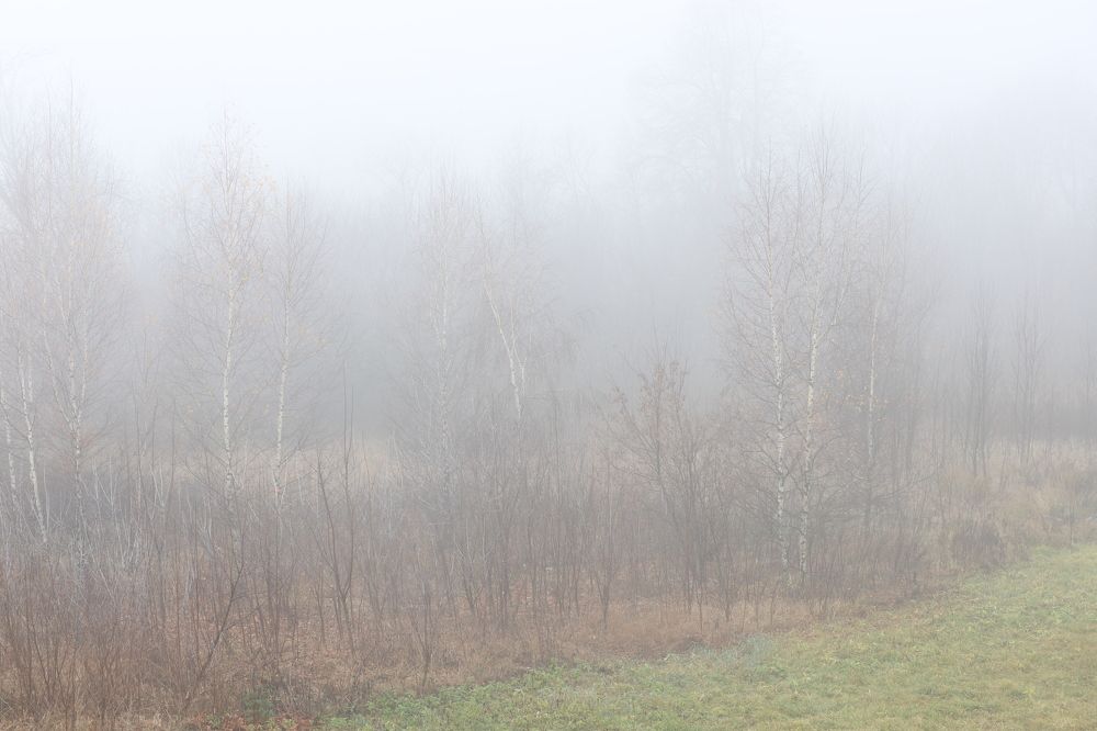 Photograph by Денис Сахаров