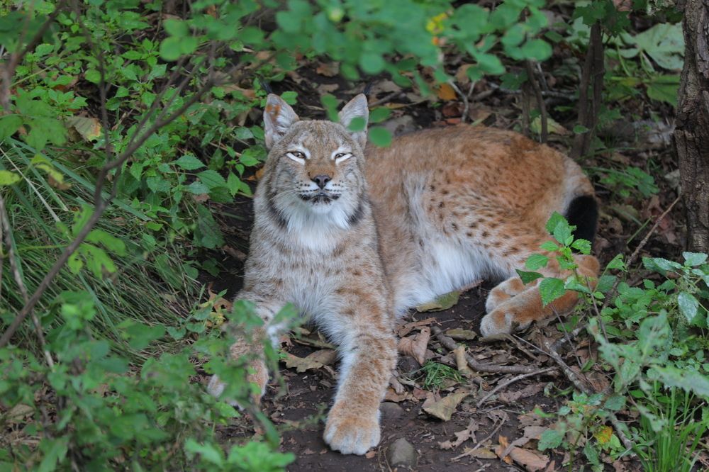 Photograph by Dmitriy Marchenko