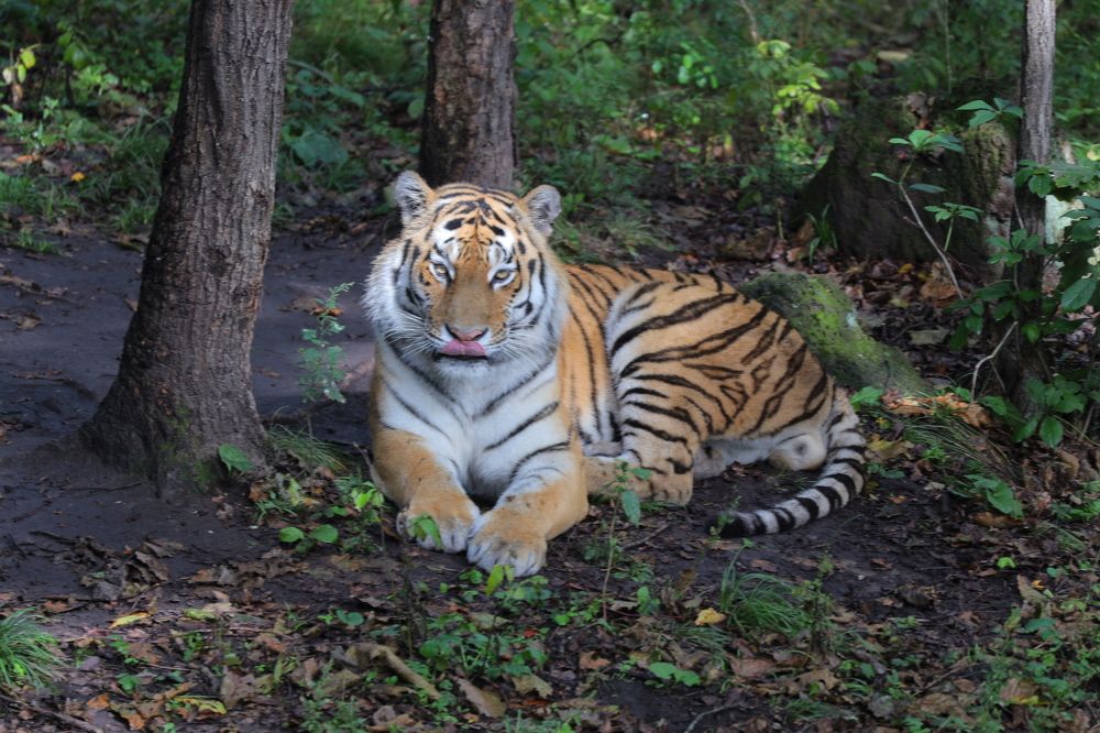 Photograph by Dmitriy Marchenko