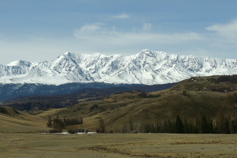 Photo #6804320