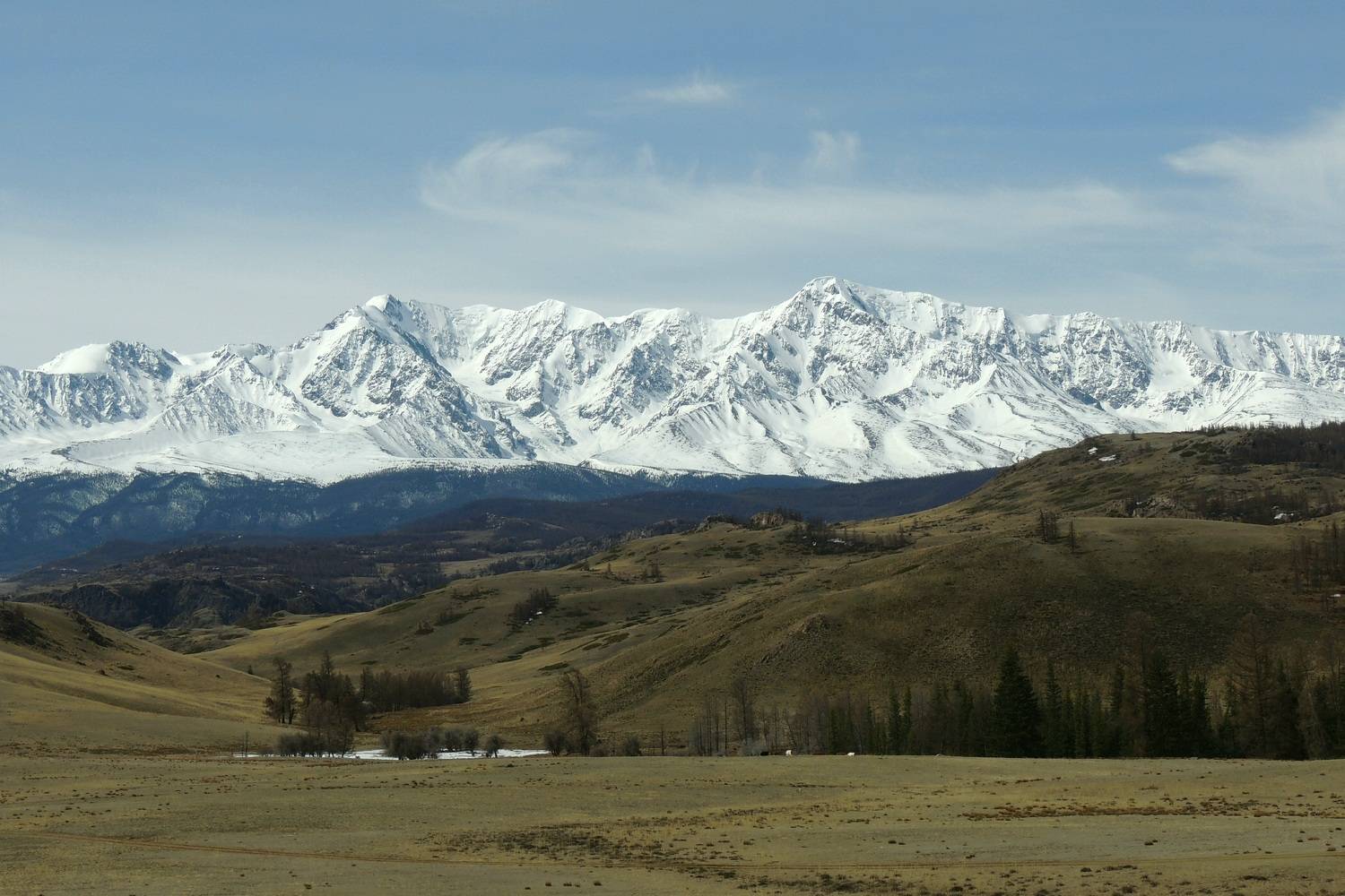 Photo #6804320