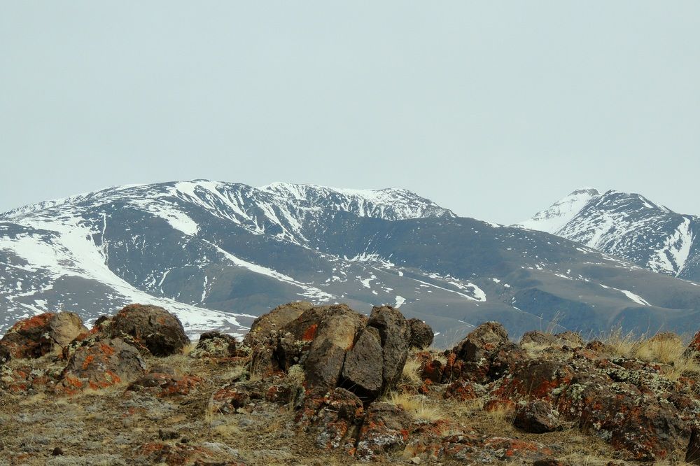 Photograph by Инна Щербакова