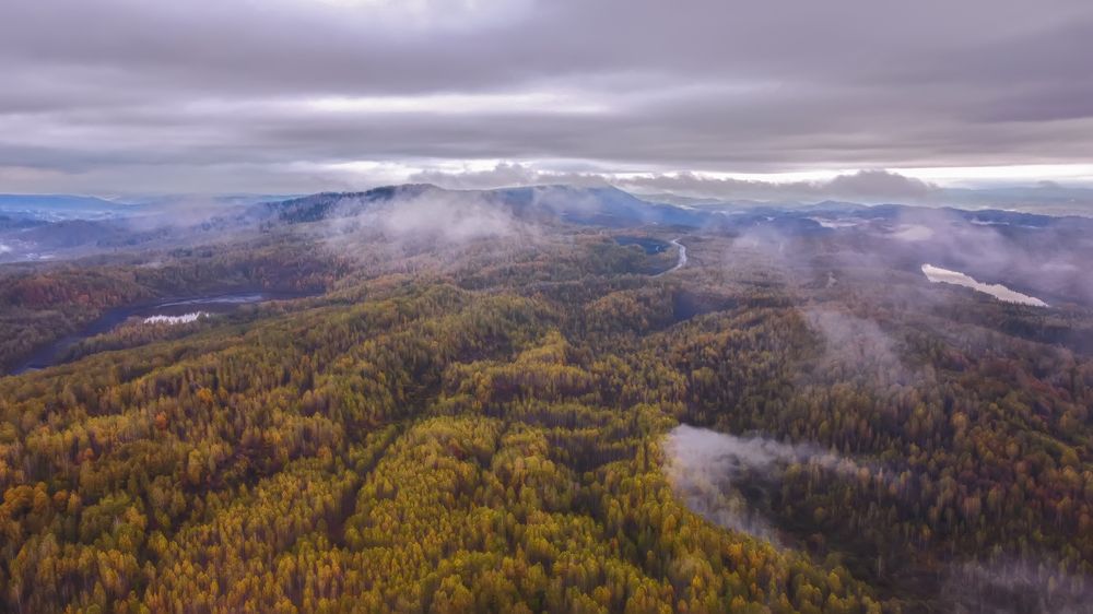 Туман, над разрезами