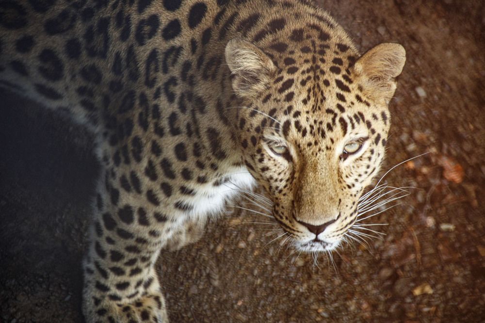 Photograph by Dmitriy Marchenko