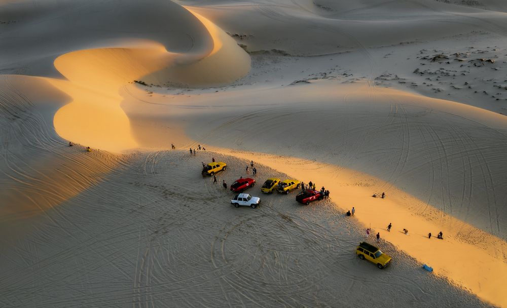 Bird-shaped sand dunes