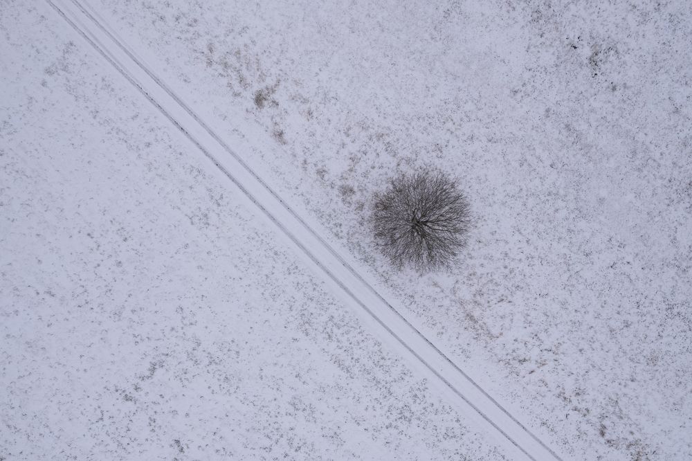 Photograph by Ingemars Vekteris