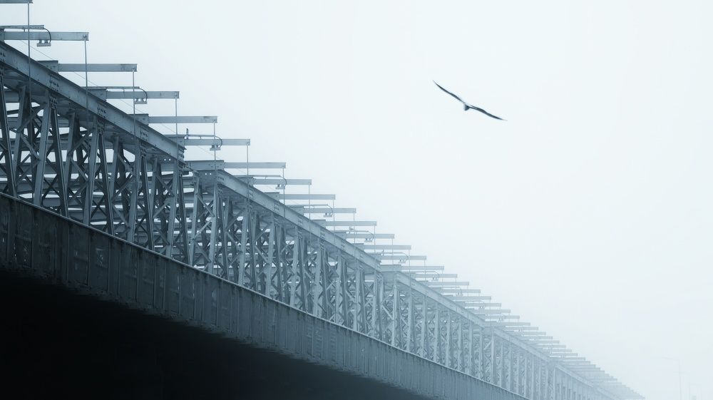 Photograph by Ahmad Shihab