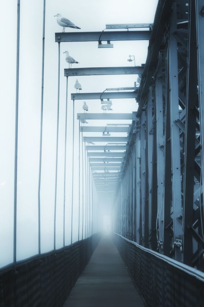 Photograph by Ahmad Shihab