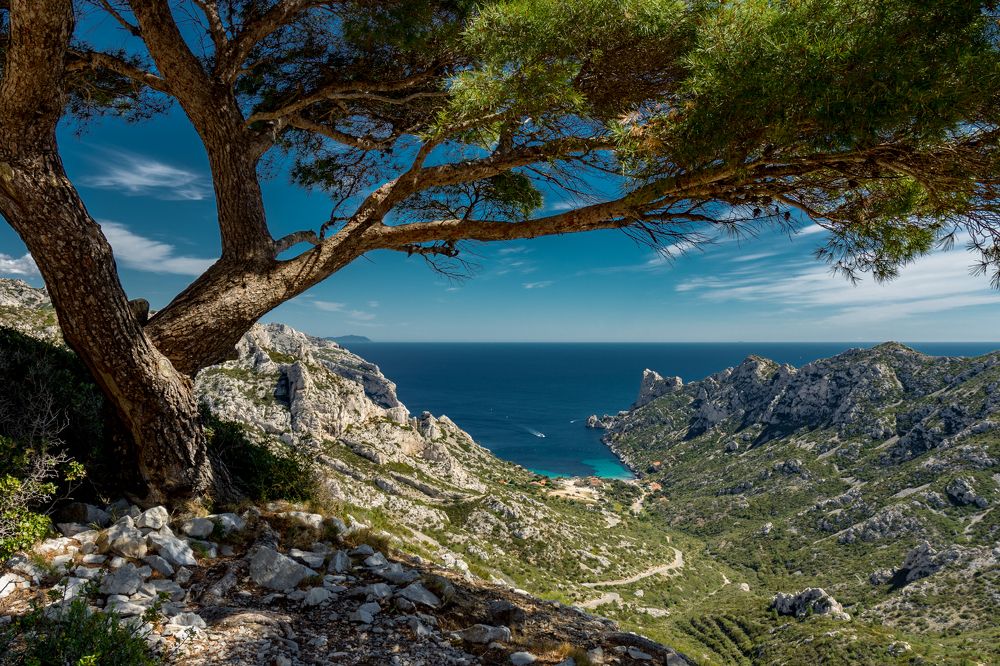 Photograph by Krzysztof Bozalek