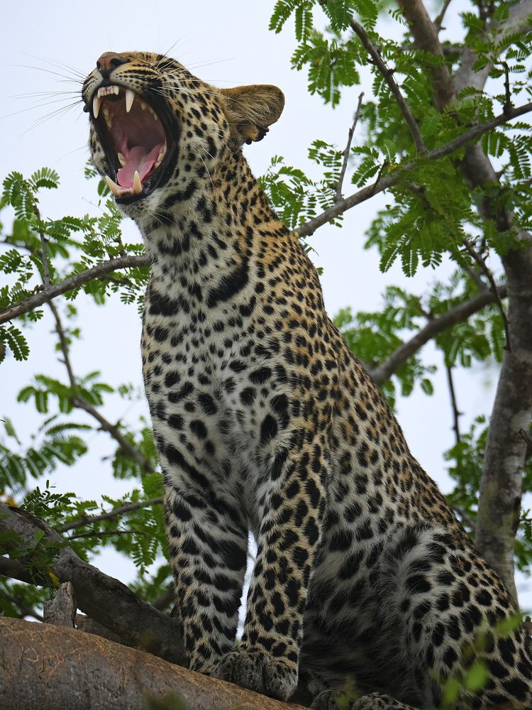 Photograph by Ирина Худзинская