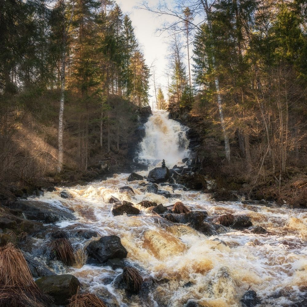 Photograph by Roman Dmitriev