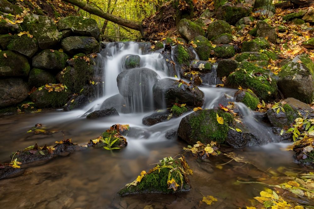 Photograph by Roman Dmitriev