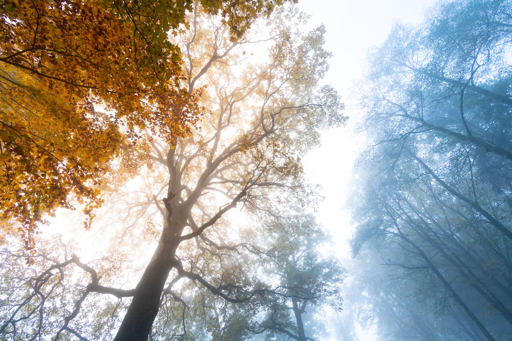 Photograph by Theo Crazzolara