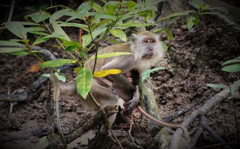 Photograph by Samuel Chan