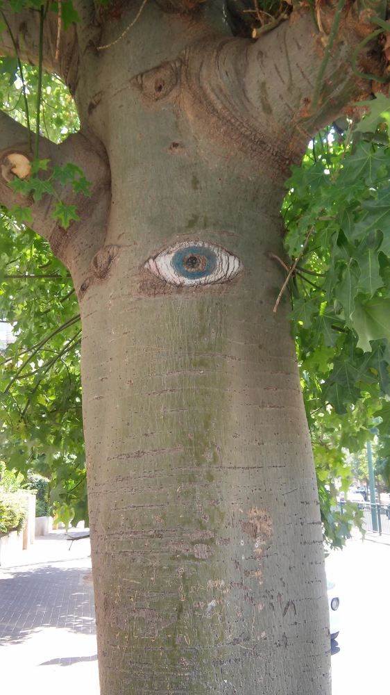 Photograph by Jacob Greenberg