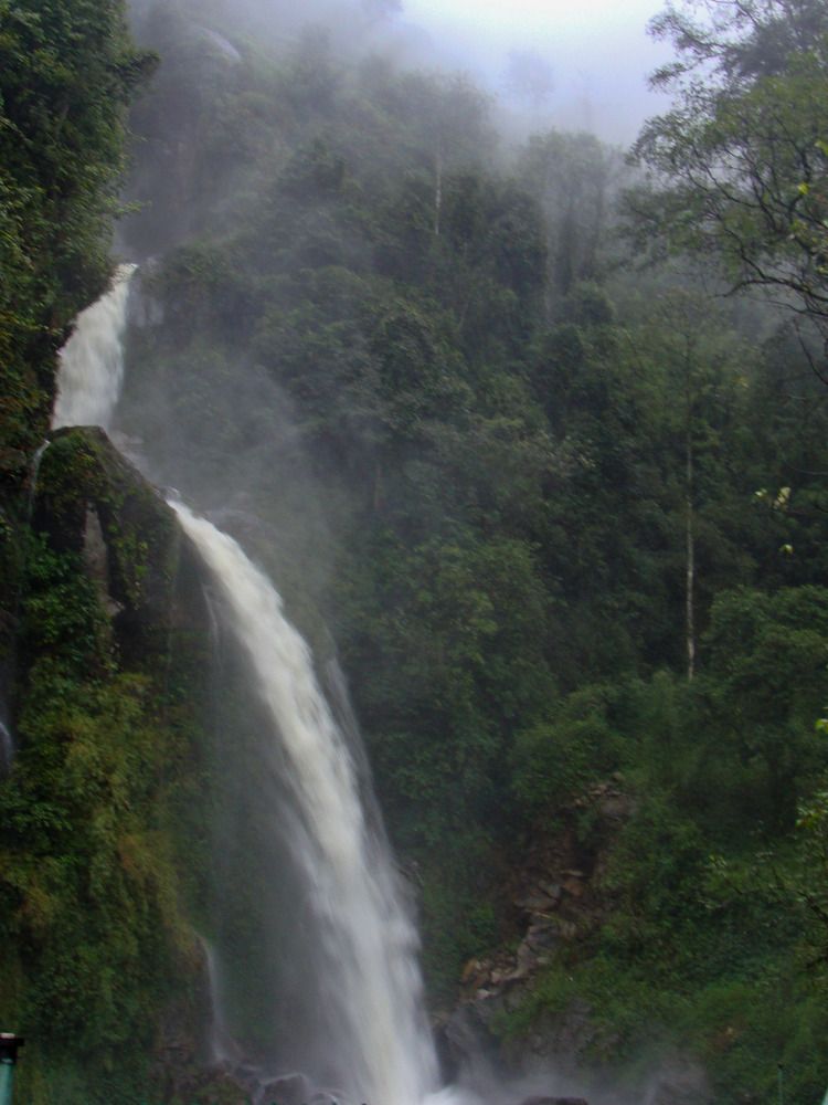 Photograph by Kamal Bhattacharjya