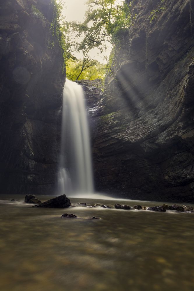 Фотография автора Pouya Palizkar