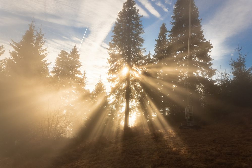 Photograph by Lukas Kulla