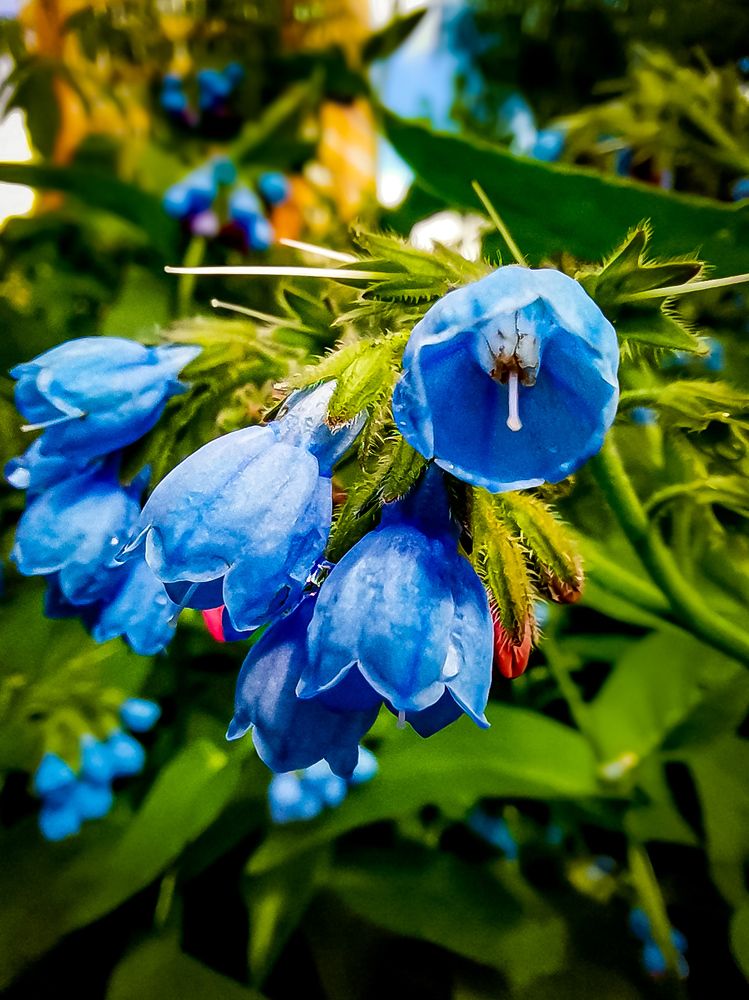 Photograph by Ilia Nikolenko