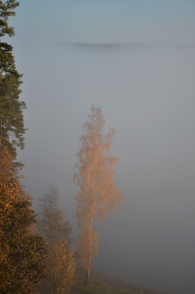 Фотография автора Linards Onzuls