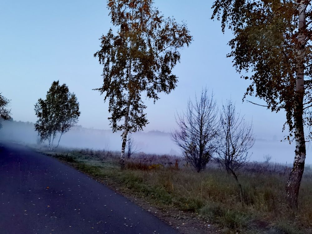 Photograph by Анна Семейникова