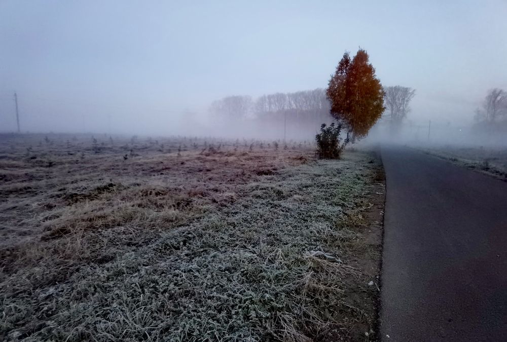 Photograph by Анна Семейникова