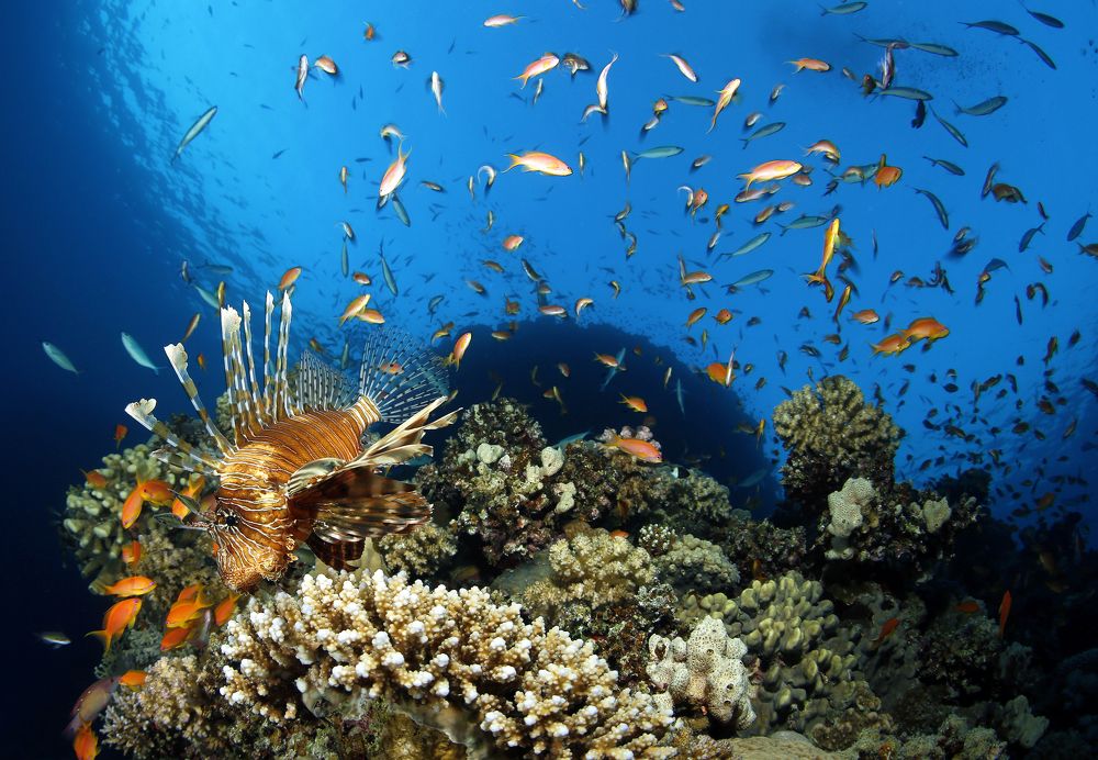 Photograph by Андрей Макеев