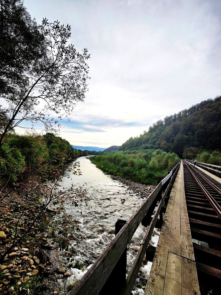 Photograph by Инна Макарчук