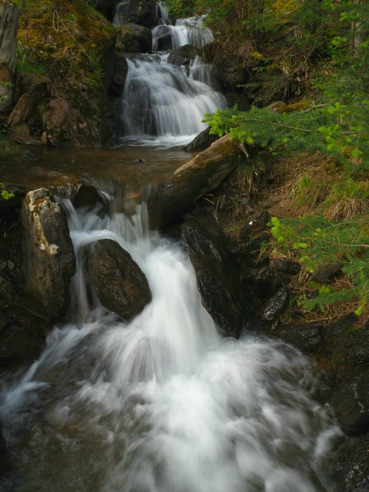 Photograph by Евгений Яковлев