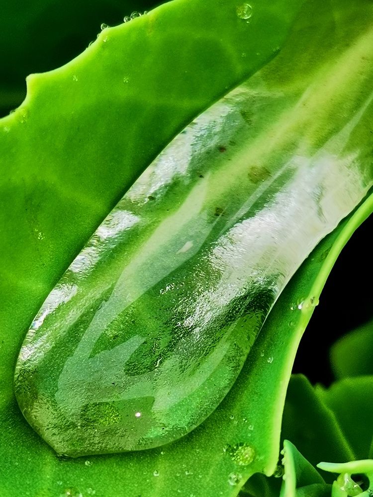 Photograph by Виктор