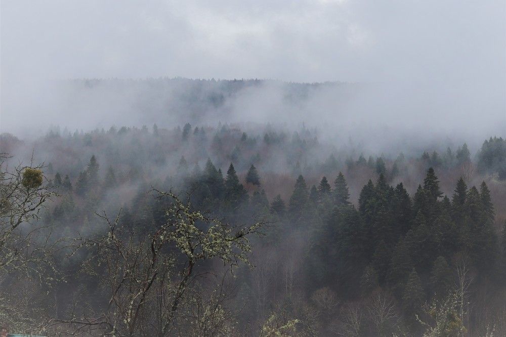 Photograph by Родосская Нонна