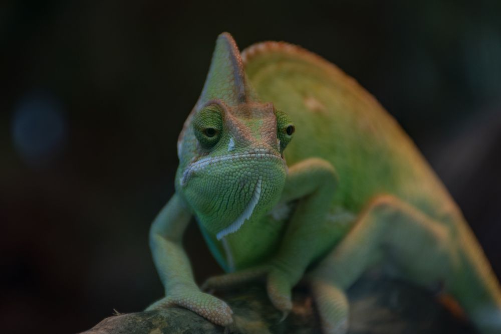 Photograph by Kostas Rammos