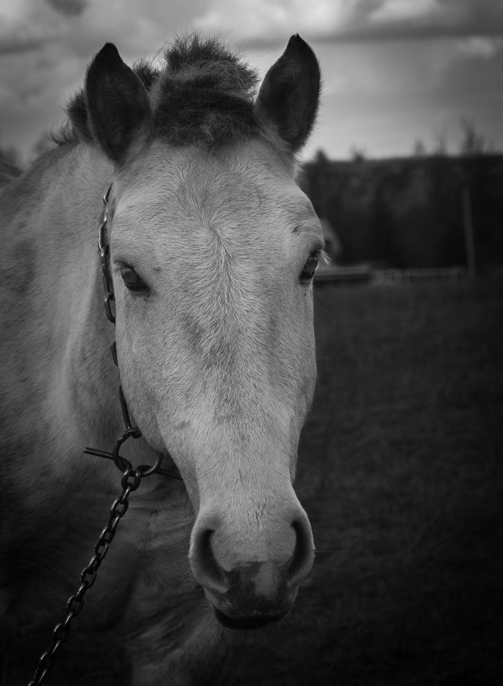 Photograph by Александр Халимов