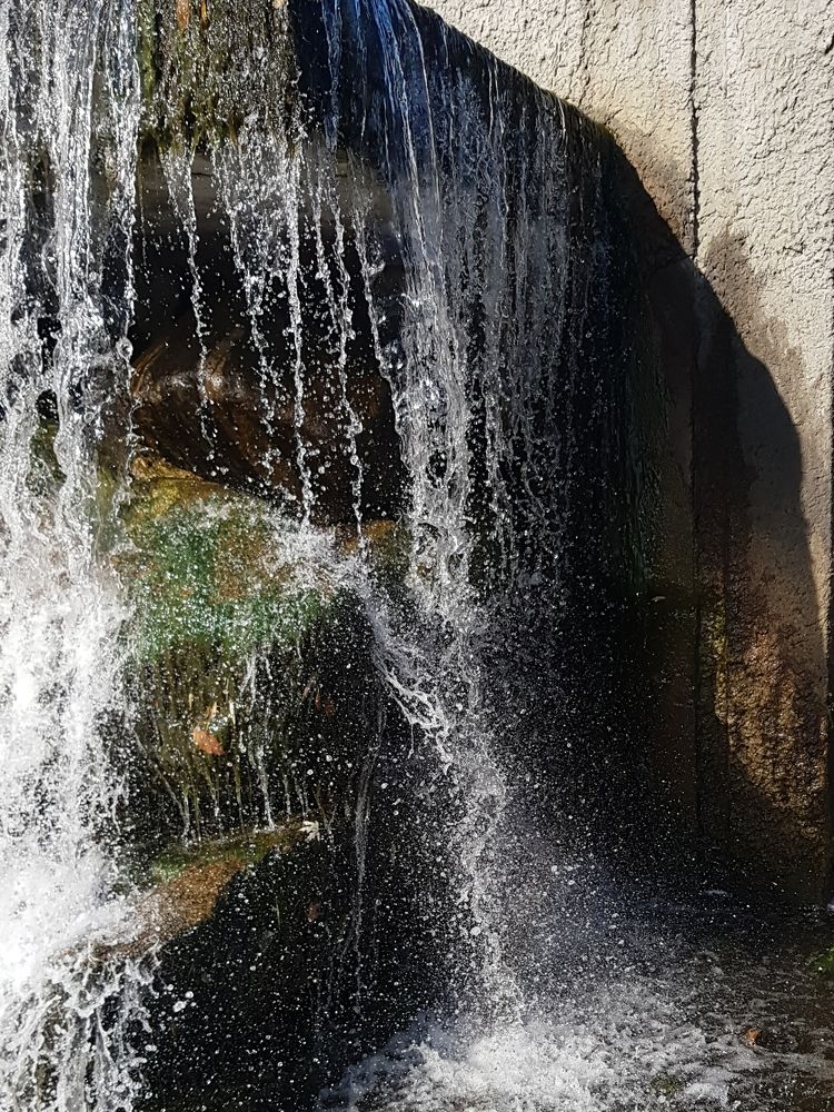 Photograph by Татьяна Яркович