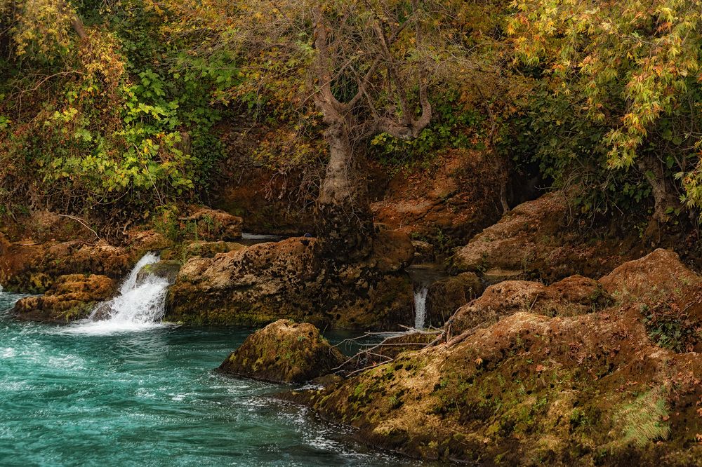 Photograph by Валерия Бахолдина