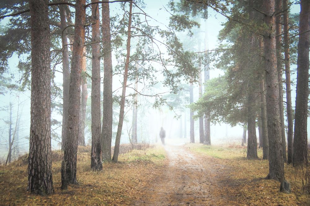 Photograph by Борис Назаров