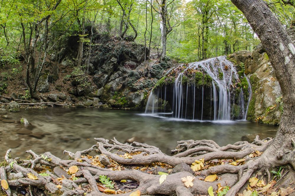 Photograph by Александр Щербаков