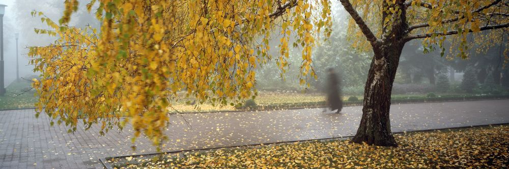 Photograph by Алексей Заморкин