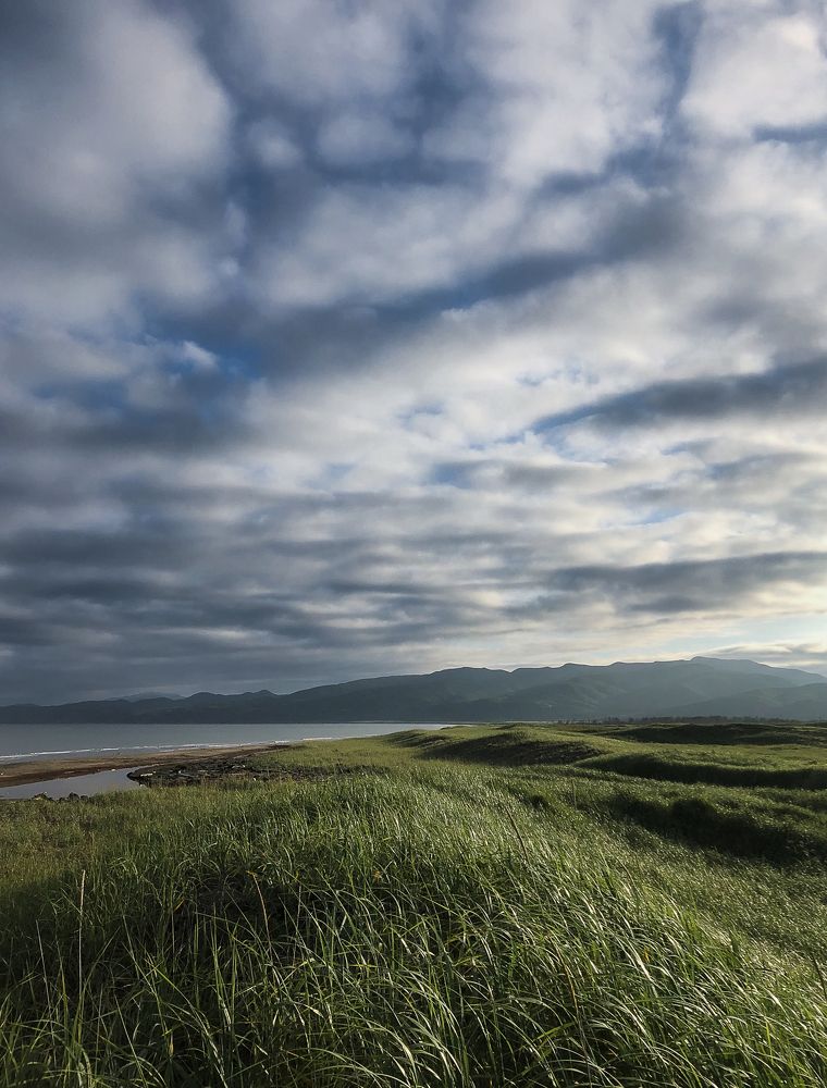 Фотография автора Ольга Бороненкова