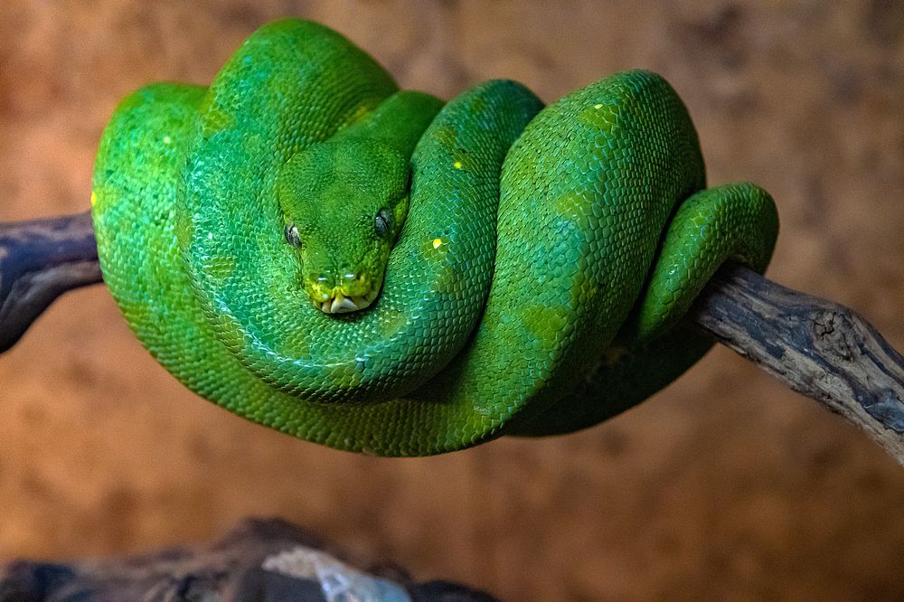 Photograph by Демьян Лопатов