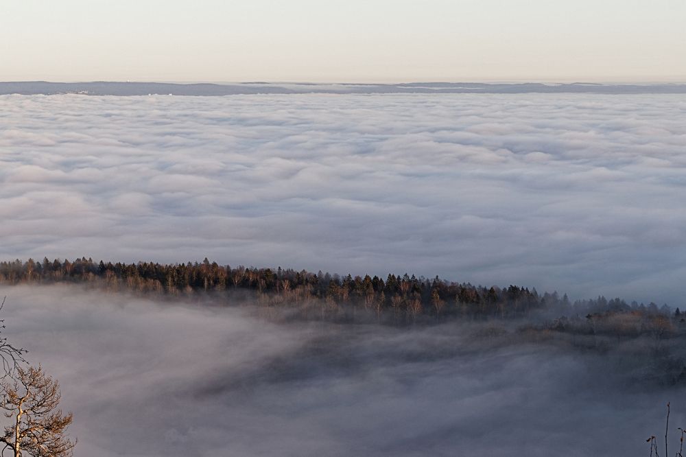 Photograph by Sylvek Gad