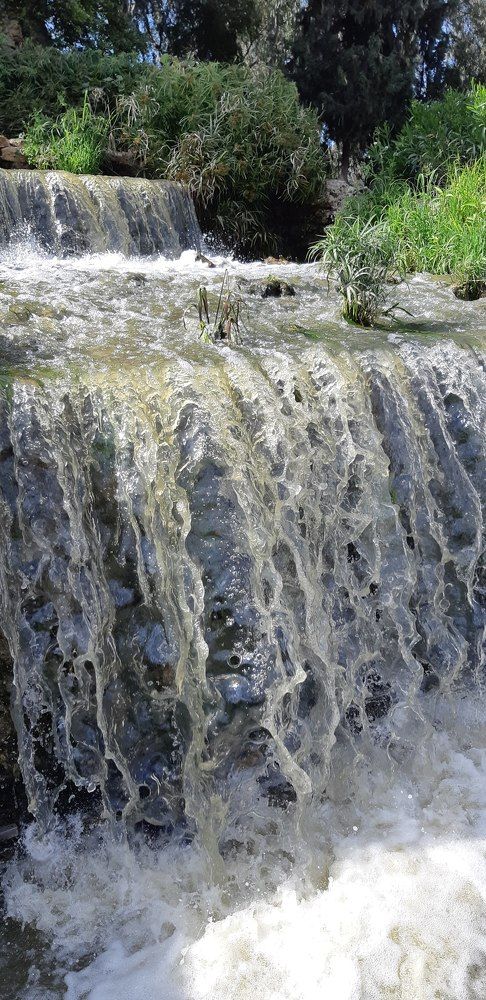 Photograph by Jacob Greenberg