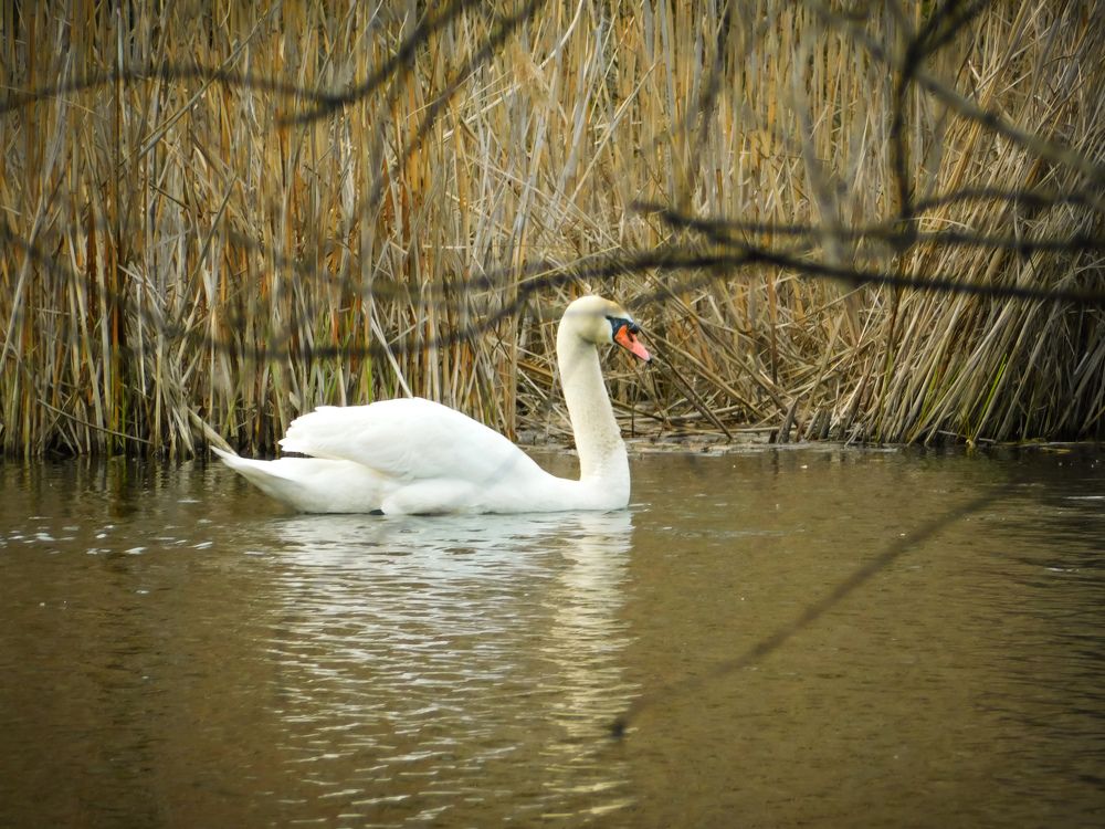 Photograph by Юлия Закопайло