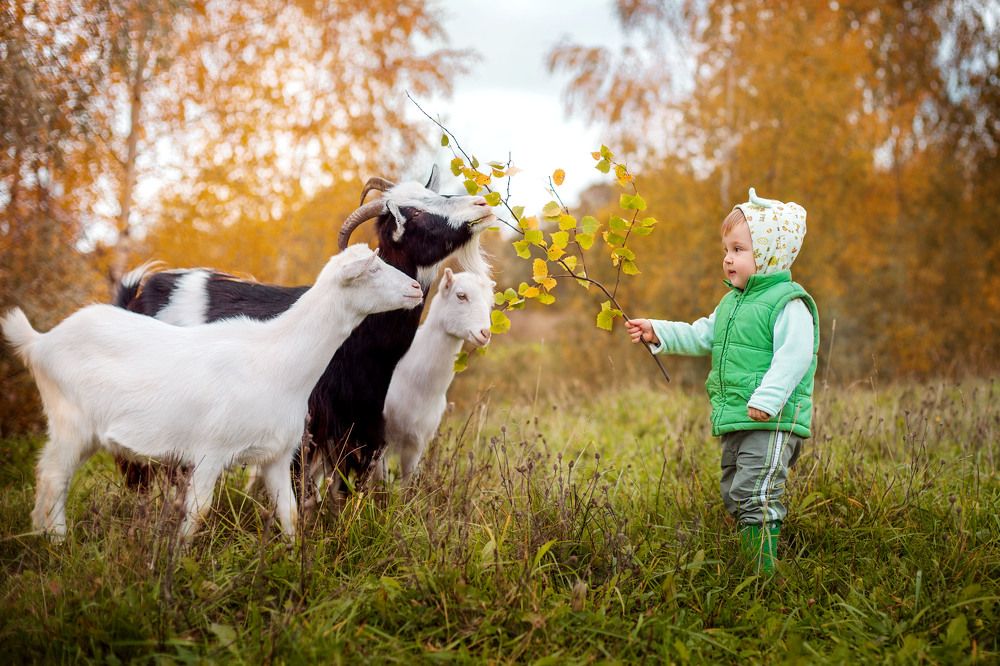 Photograph by Оксана Колобкова