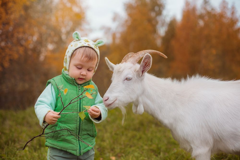 Photograph by Оксана Колобкова