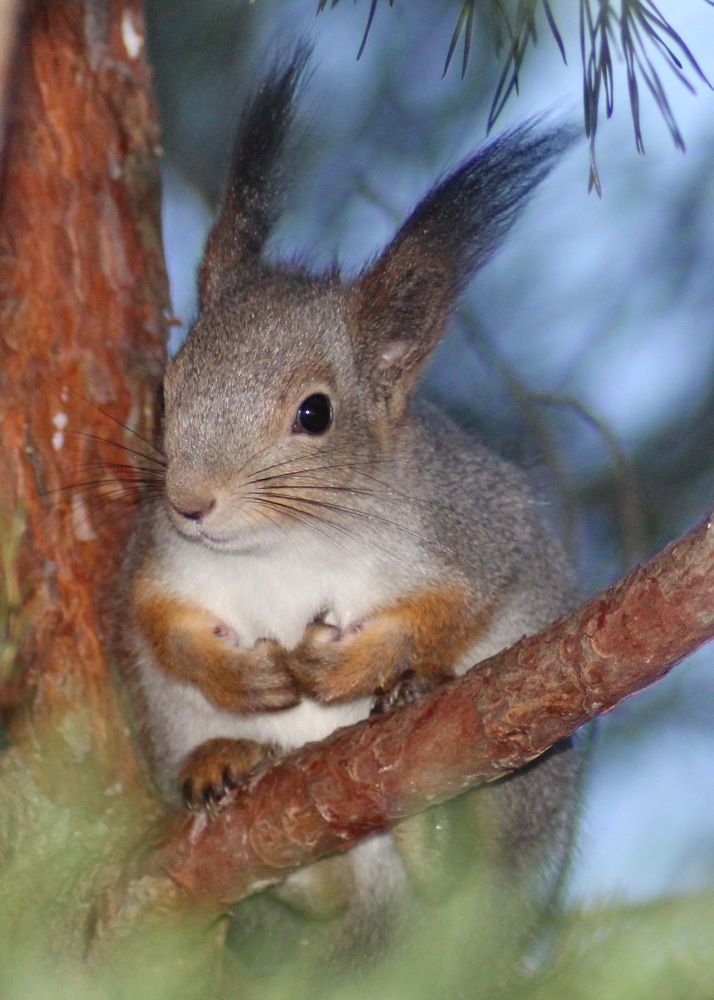 Photograph by Николай Николаевич Леухин