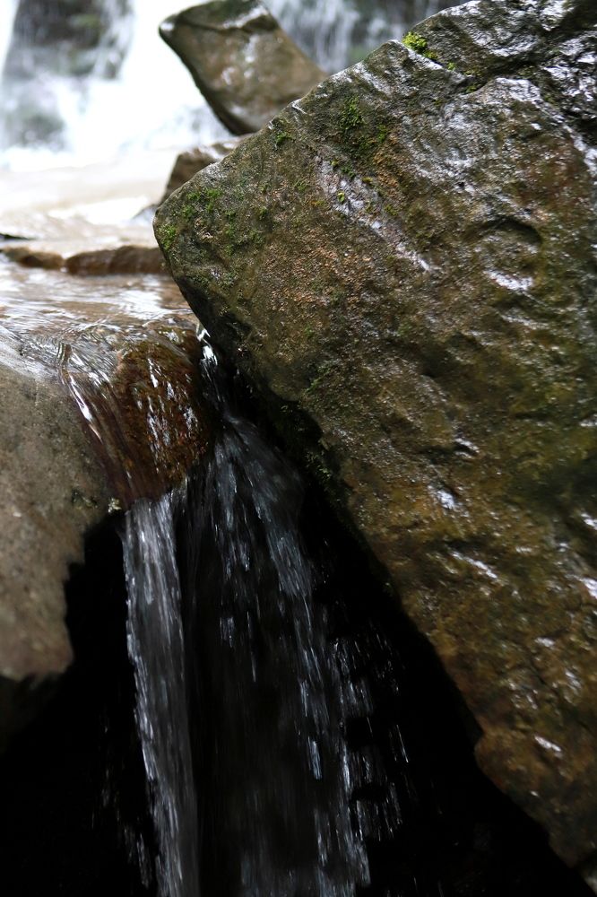 Photograph by Андрей Телибаев