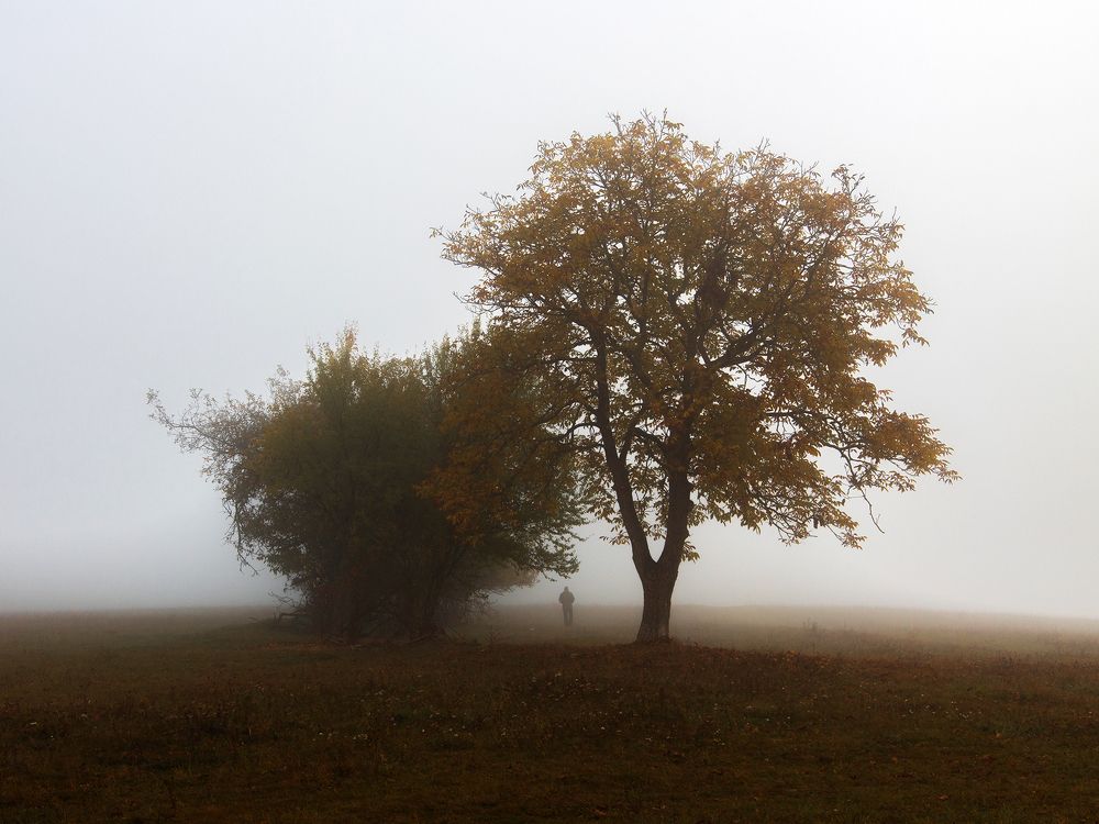 Photograph by Dorota Hnatová